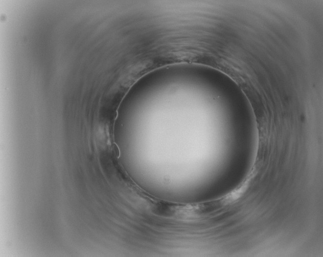 X0000073730182200608101939