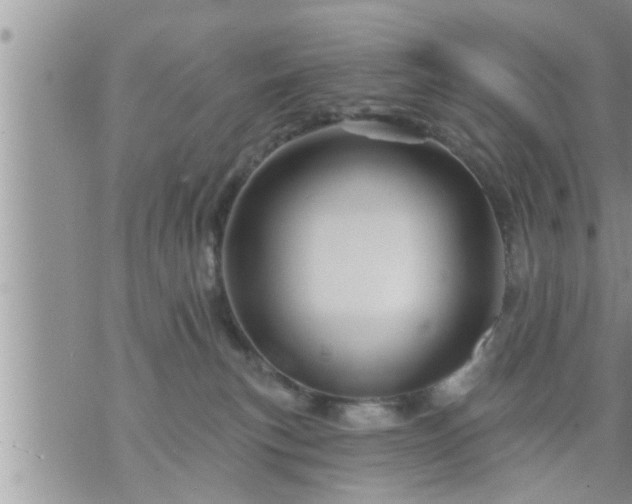 X0000073730183200608101939