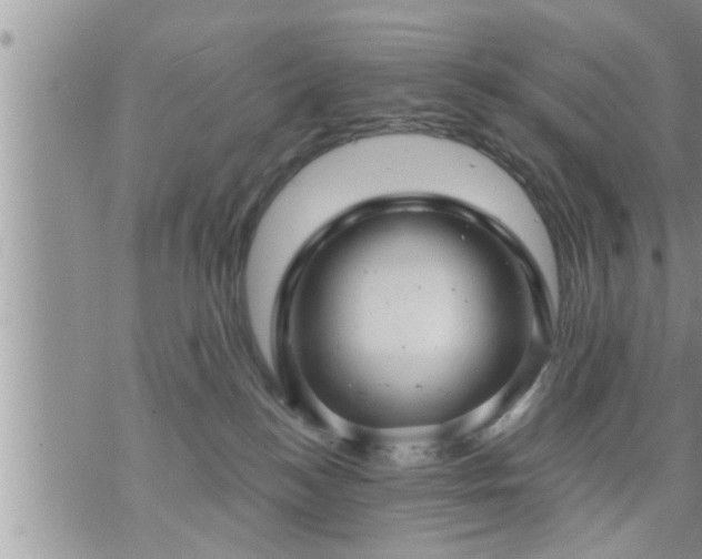 X0000073730184200608101939