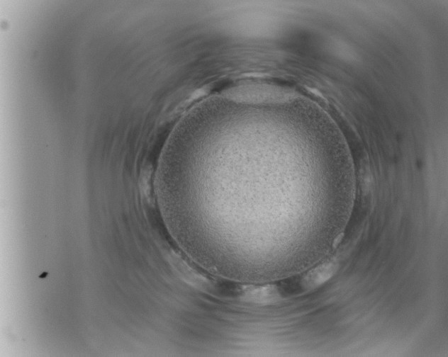 X0000073730185200608101939