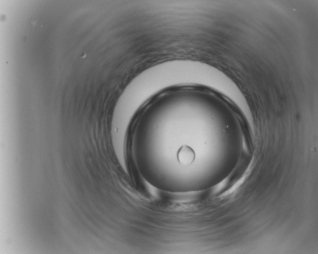 X0000073730186200608101939