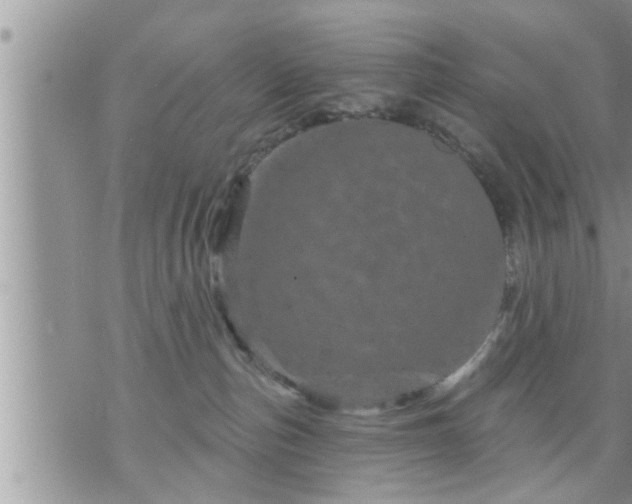 X0000073730187200608101939