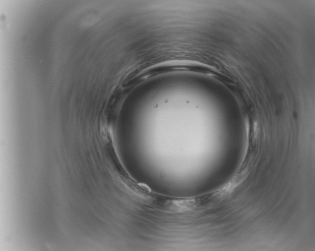 X0000073730188200608101939