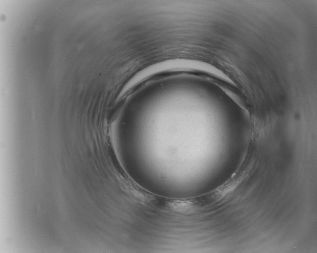 X0000073730189200608101939