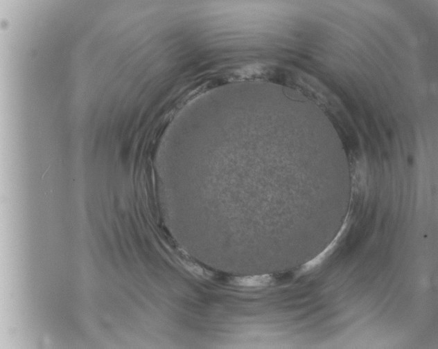 X0000073730191200608101939