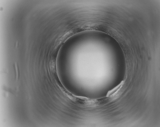 X0000073730192200608101939