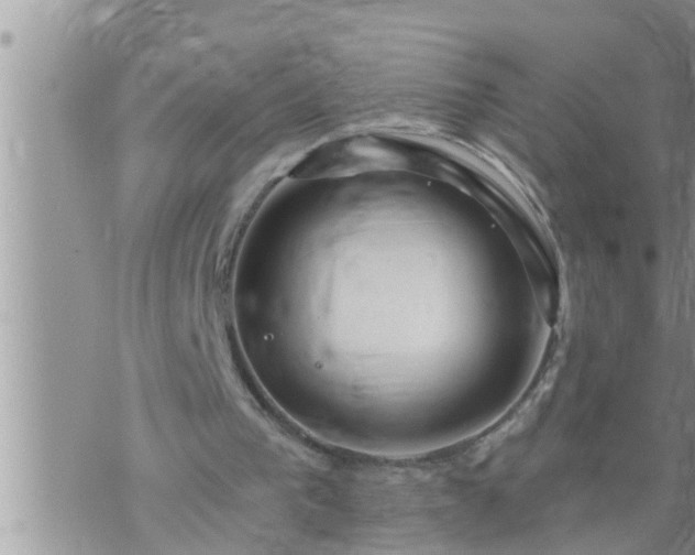 X0000073730193200608101938