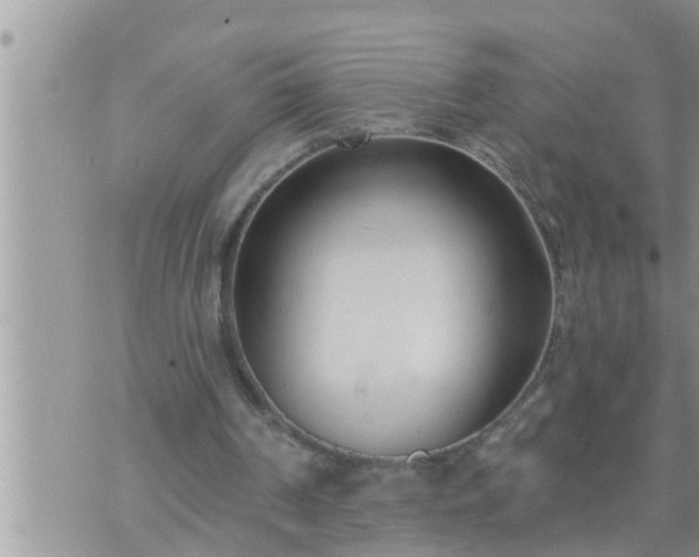 X0000073730194200608101938