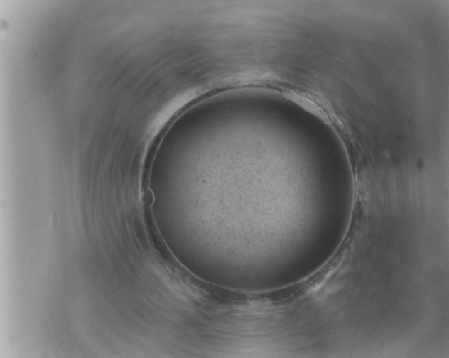 X0000073730196200608101938