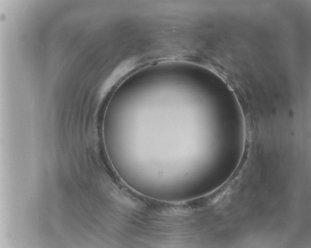 X0000073730198200608101938