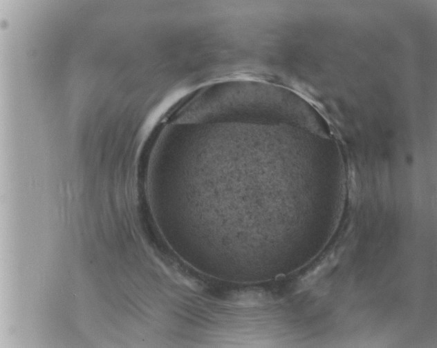 X0000073730200200608101938