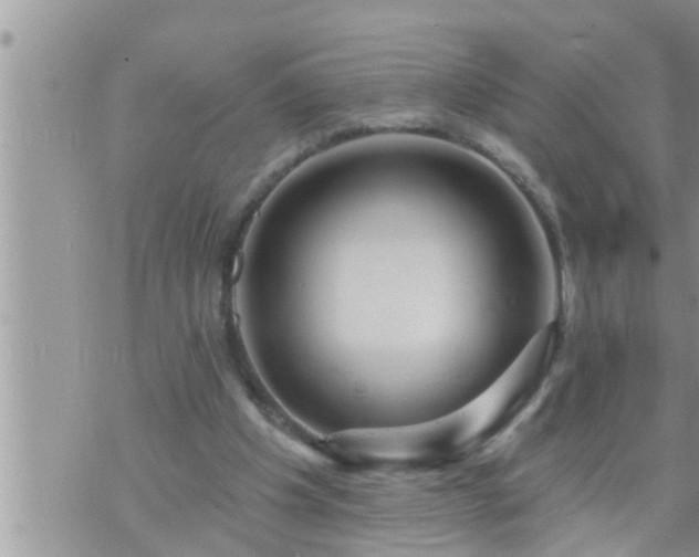 X0000073730201200608101938