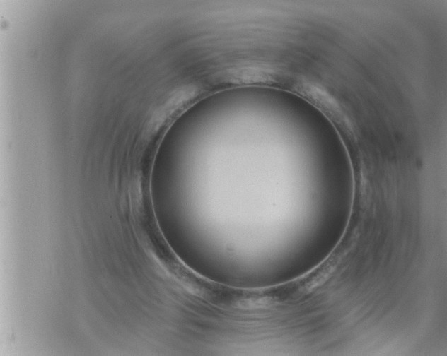 X0000073730202200608101938