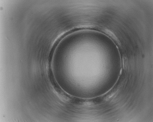 X0000073730204200608101938