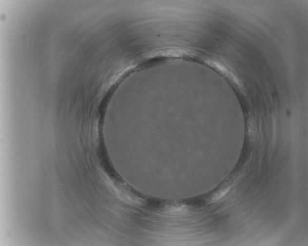 X0000073730206200608101938