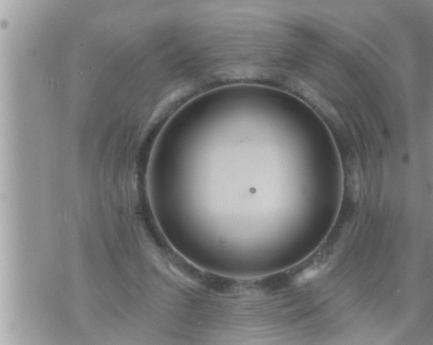 X0000073730207200608101938