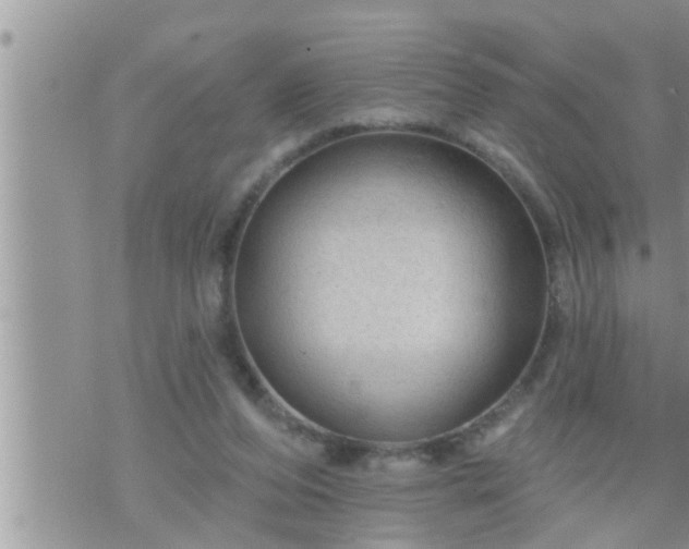 X0000073730208200608101938