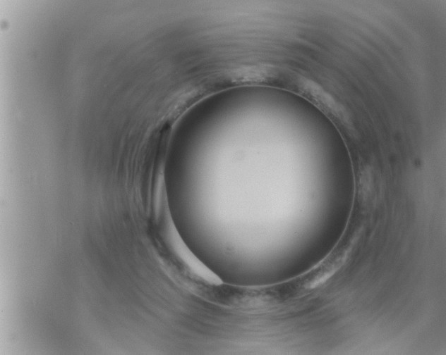 X0000073730209200608101938