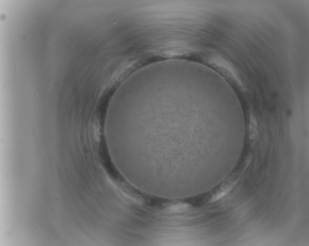 X0000073730210200608101938