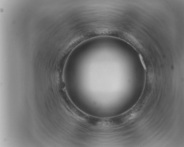 X0000073730211200608101938