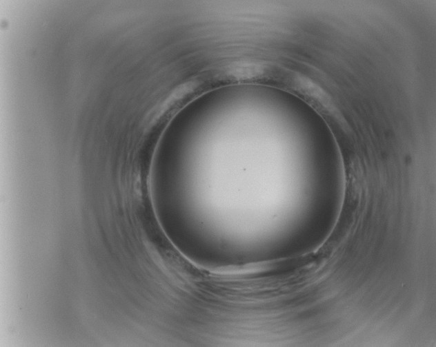 X0000073730212200608101938