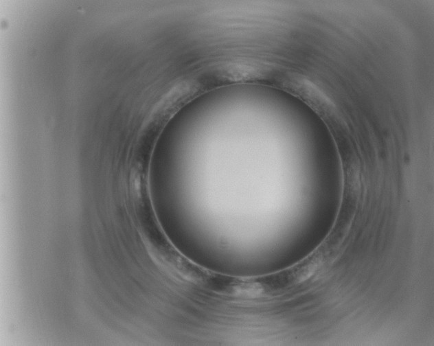 X0000073730214200608101938