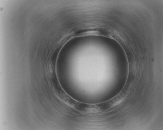 X0000073730215200608101938