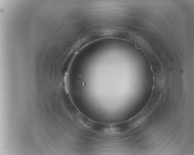 X0000073730216200608101938