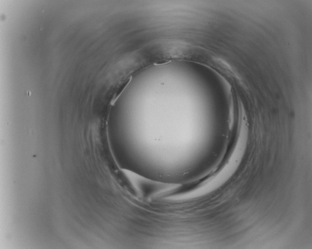 X0000073730217200608101938