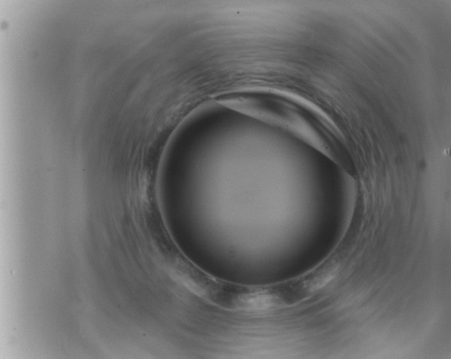 X0000073730219200608101938