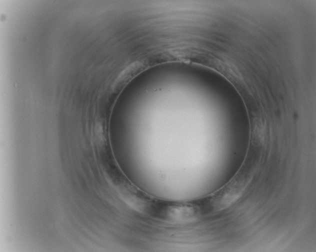 X0000073730220200608101938