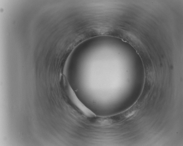 X0000073730221200608101938