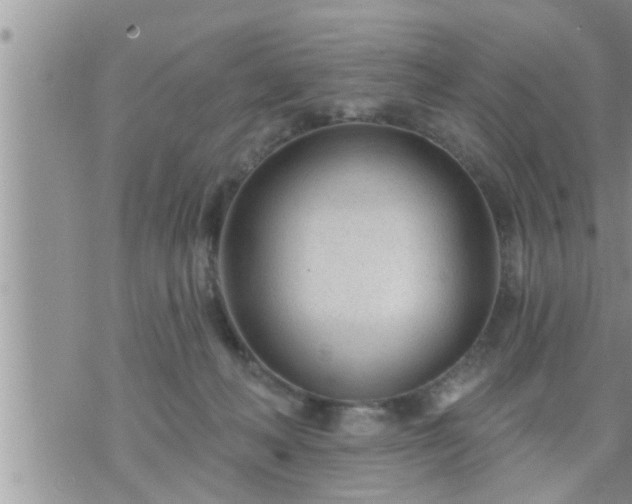 X0000073730222200608101938