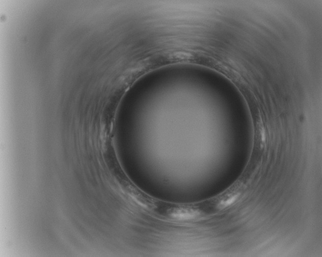 X0000073730223200608101938