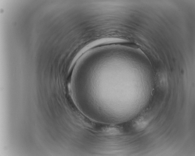 X0000073730224200608101938