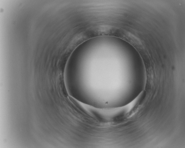 X0000073730225200608101938