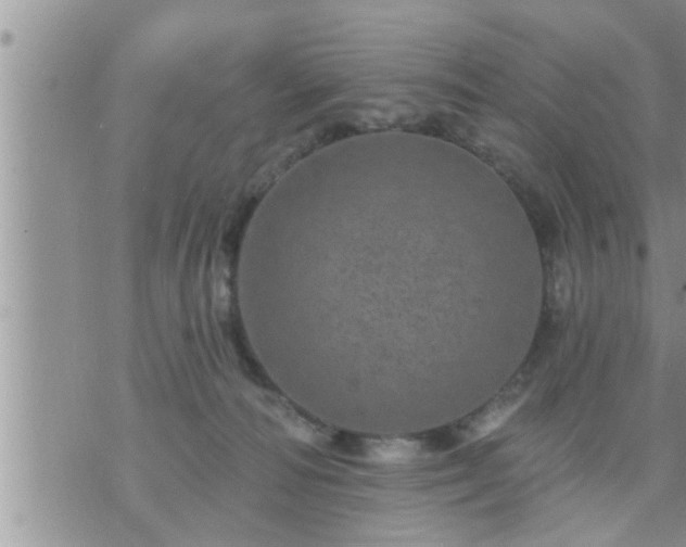 X0000073730226200608101938