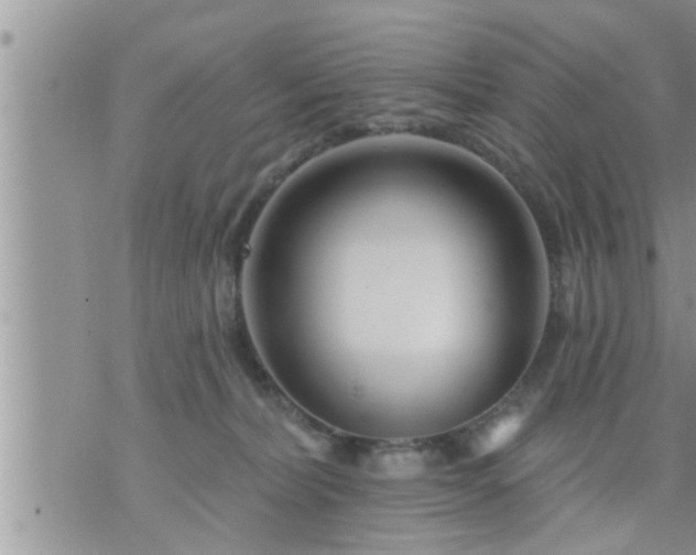 X0000073730228200608101938