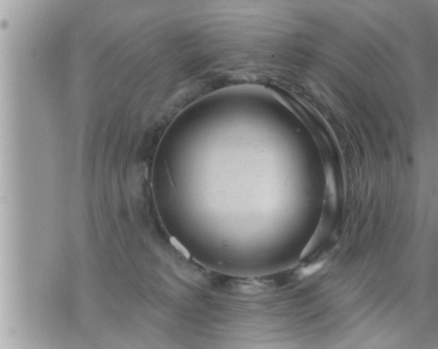 X0000073730229200608101938