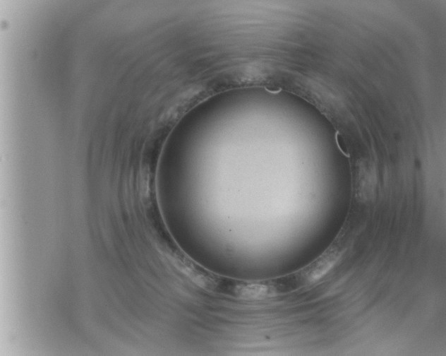 X0000073730230200608101938