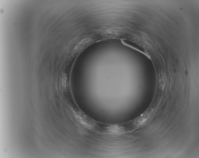 X0000073730231200608101938