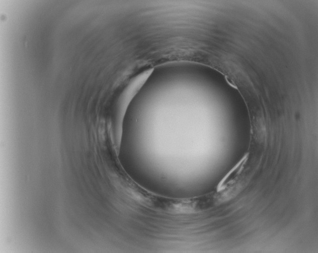 X0000073730232200608101938