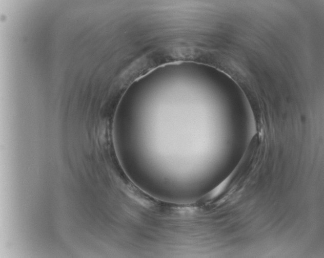 X0000073730233200608101938