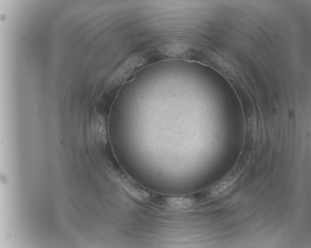 X0000073730234200608101937