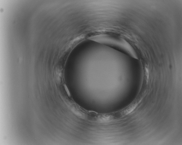 X0000073730235200608101937