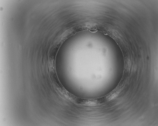 X0000073730236200608101937