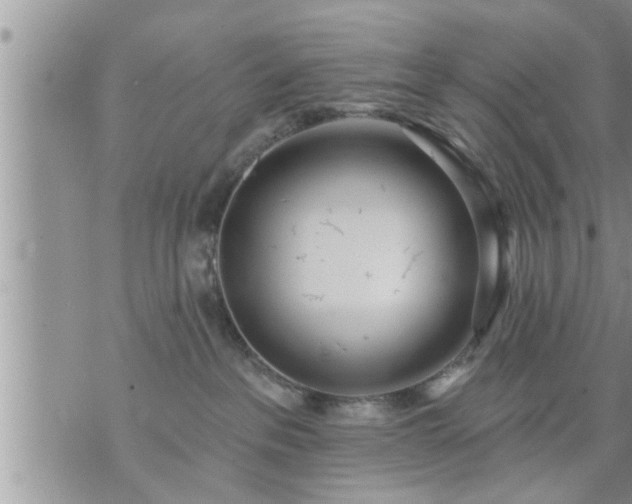 X0000073730237200608101937