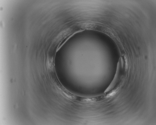 X0000073730239200608101937