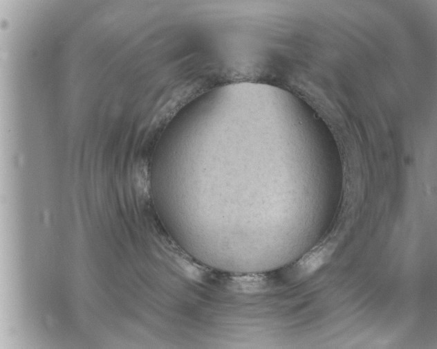 X0000073730240200608101937