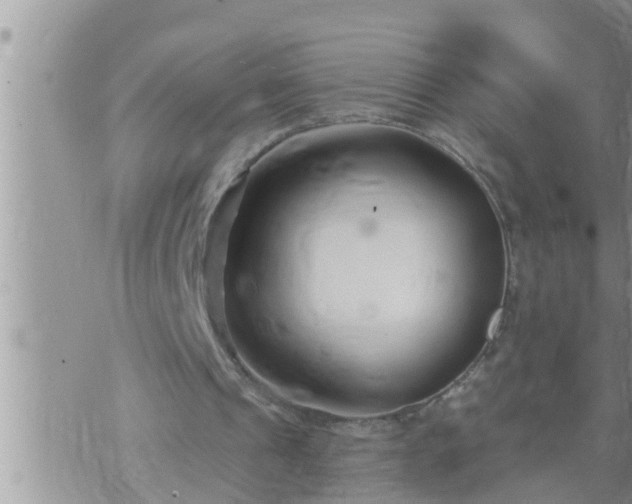 X0000073730241200608101937